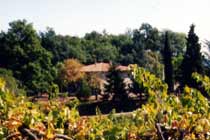 vigne con casa colonica