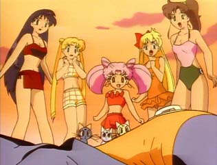 Chibi Usa & others in bathing suits