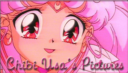 Chibi Usa's Pictures!