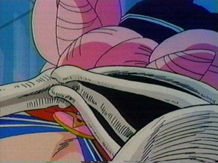 Sailor Moon's cleavage