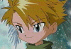 mattcloseup.gif (39943 bytes)