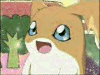 patamonfuzzy.gif (29434 bytes)