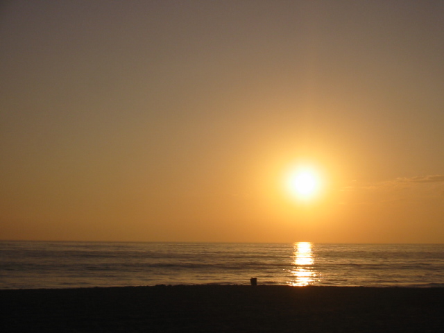 sunset