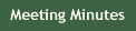 Meeting Minutes