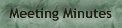 Meeting Minutes