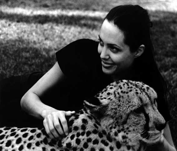Angelina Jolie
