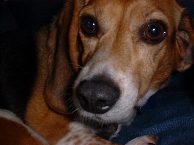 bojeee.JPG (48823 bytes)