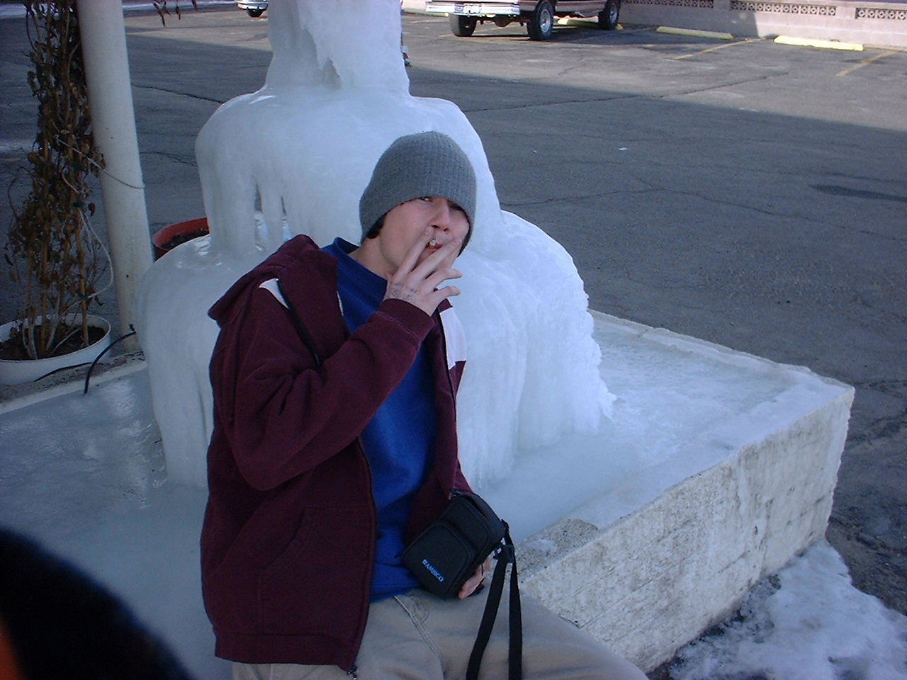 frozenfountain.JPG (176082 bytes)