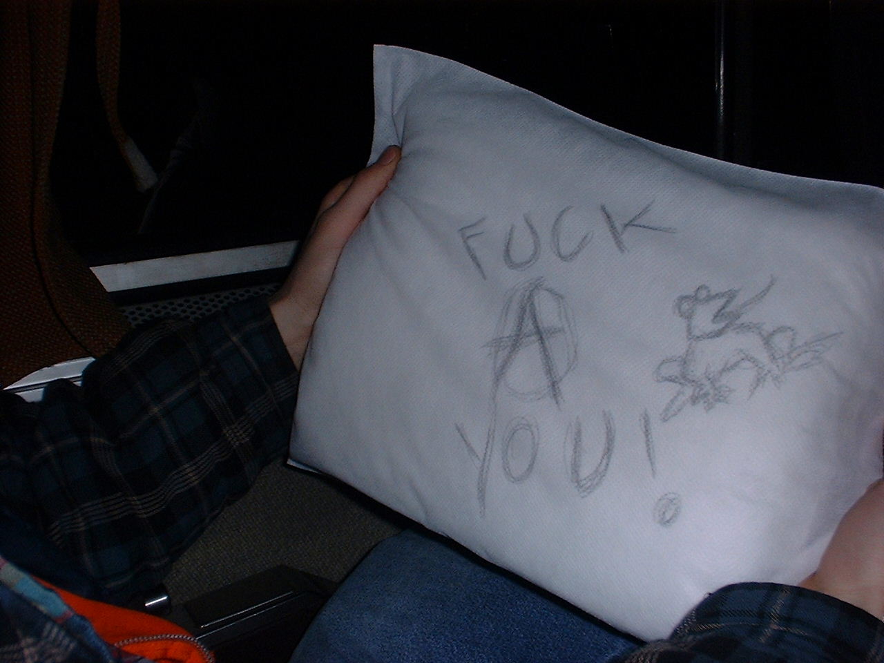 pillow.JPG (133362 bytes)