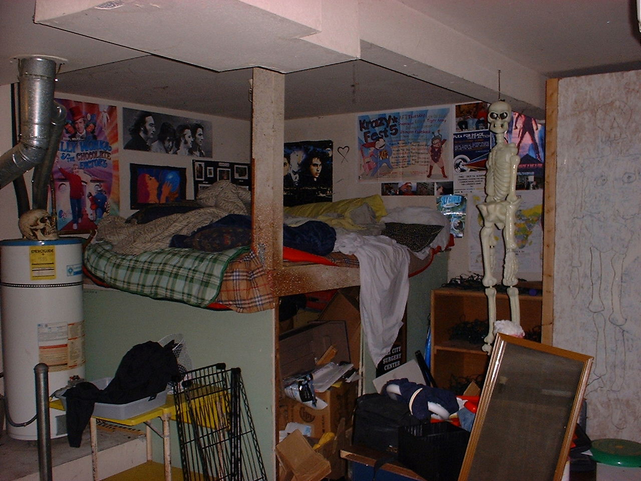 theroom.JPG (218906 bytes)