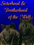Sisterhood & Brotherhood of
                           the Wolf Homepage