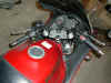 HeliThrothsmall.jpg (97379 bytes)