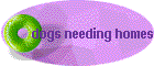 dogs needing homes