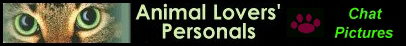 apbanner.jpg (20722 bytes)