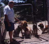 houndrescue.jpg (1240 bytes)><td width=