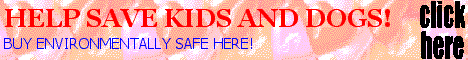 banner52699.gif (9606 bytes)