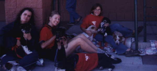 puppiesforadoption.jpg (1240 bytes)