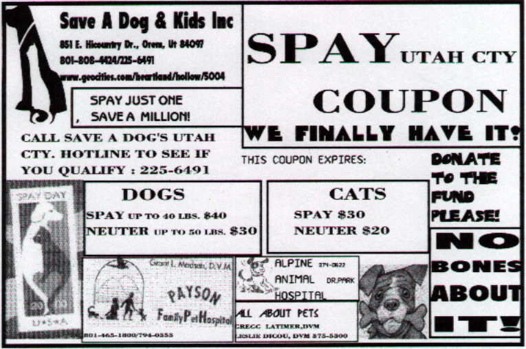 .utctyspaycoupon.jpg (3230 bytes)