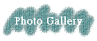 Photo Gallery