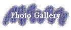 Photo Gallery