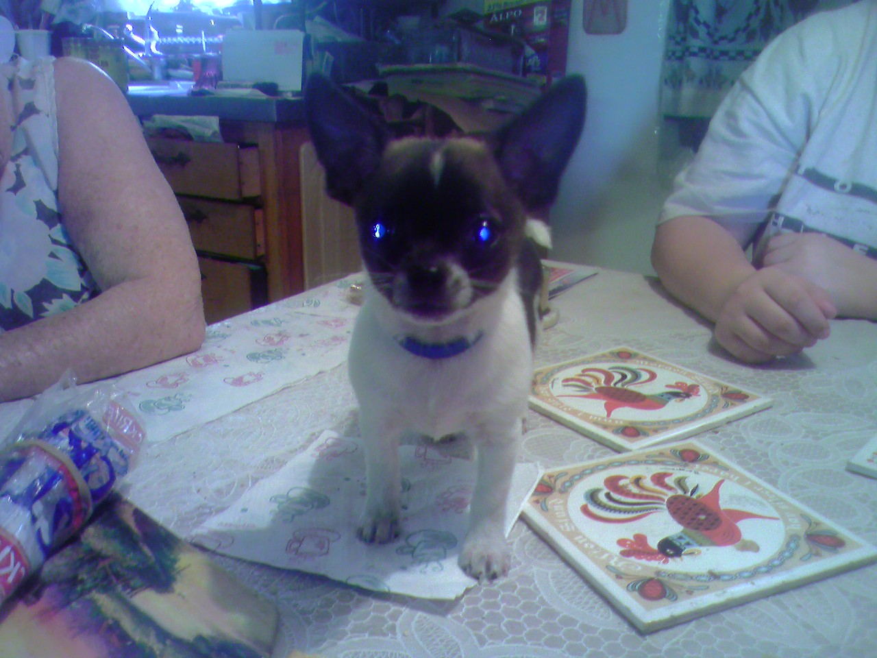 Here's lookin' at you kid!