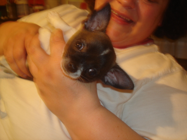 Look ma my ears are up!!!