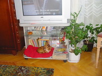 watching tv is so boring...