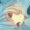 Chii with wings on a greenish environment