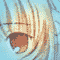 Chii looking far away