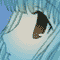 screen Shot, Chii