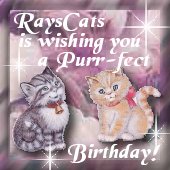 Lady Purrsalot's gift
