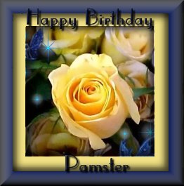 Pamster's gift