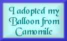 Camomile's A Fairy World