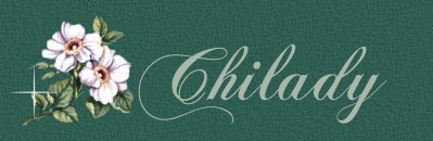  :: Chilady's Friendship Quilt ::