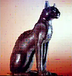 Picture of Bast