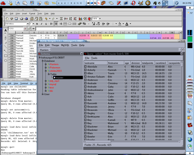 Screenshot, showing GNUmeric, MySQL Navigator and
	terminal window