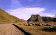 Coyhaique, camino hacia Balmaceda
