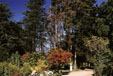 Jardines de Parque Lota