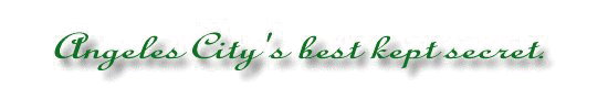 VMlogo2.jpg (7756 bytes)