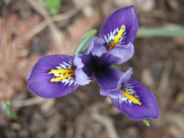 image3