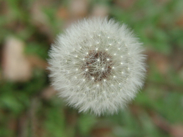 image9