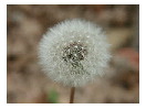 thumbnail1