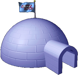 welcome to the igloo