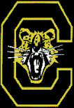 Go Cheetahs !