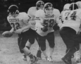Cheetahs in action