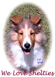 WeLove Shelties