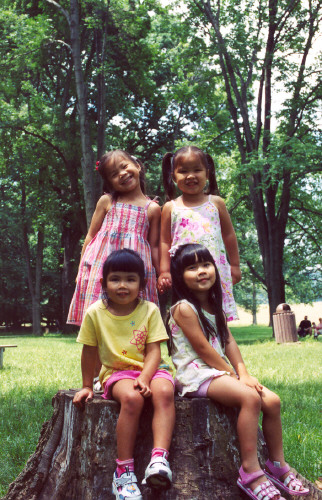 On a stump