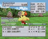 Chocobo Stallion