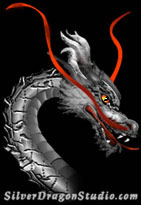 Silver Dragon Studio Logo, Web design studio, Chicago, IL