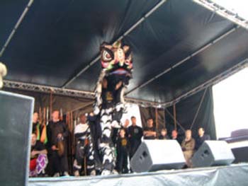 Lion8